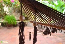 Hamac En Coton Tissé à La Main 100 X 237 Cm - Granada L -Hevea Jardin Magasin detail toile hamac coton granada