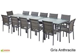 Salon De Jardin Modulo : Table Extensible + 12 Fauteuils -Hevea Jardin Magasin salon jardin modulo wilsa table extensible 12 fauteuils aluminium verre 2