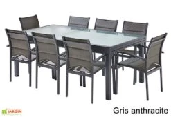 Salon De Jardin Modulo : Table Extensible + 8 Fauteuils -Hevea Jardin Magasin salon jardin modulo wilsa table extensible 8 fauteuils aluminium verre 1